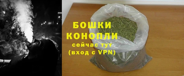 сатива Володарск
